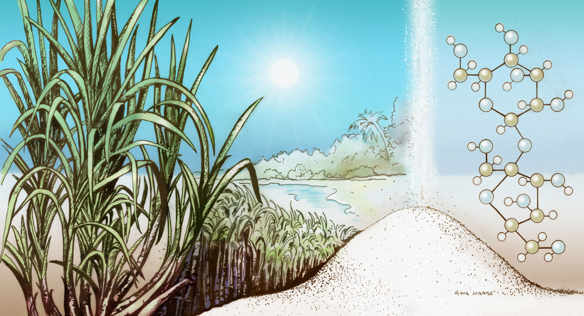 Sugar: A Practical Guide